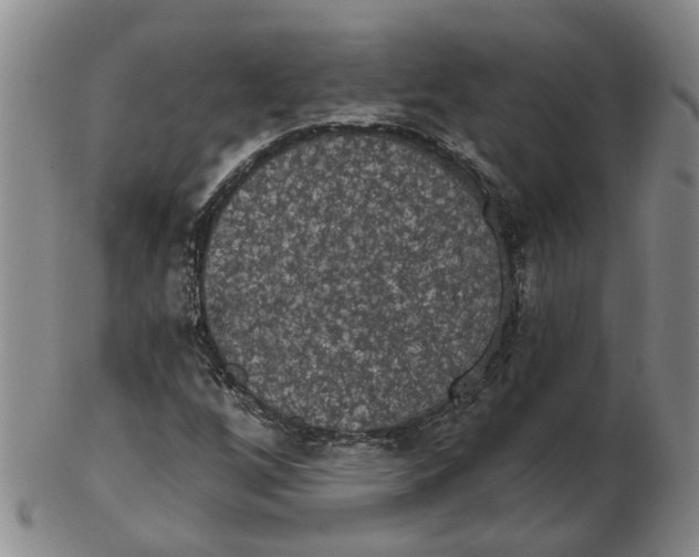 X0000102771256200809080956