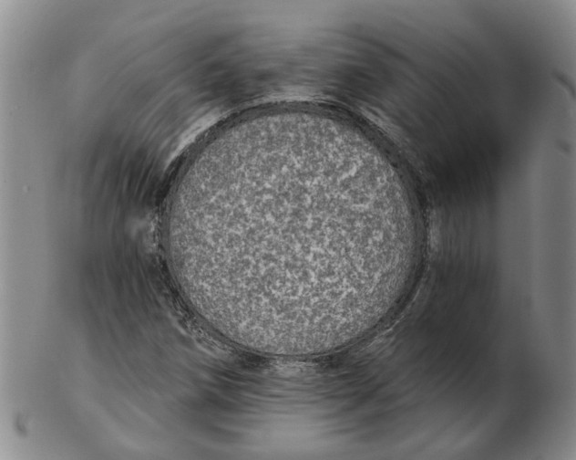 X0000102771258200809080956