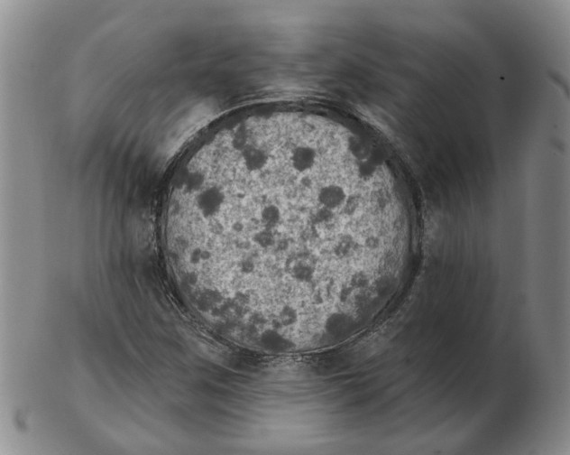 X0000102771259200809080956