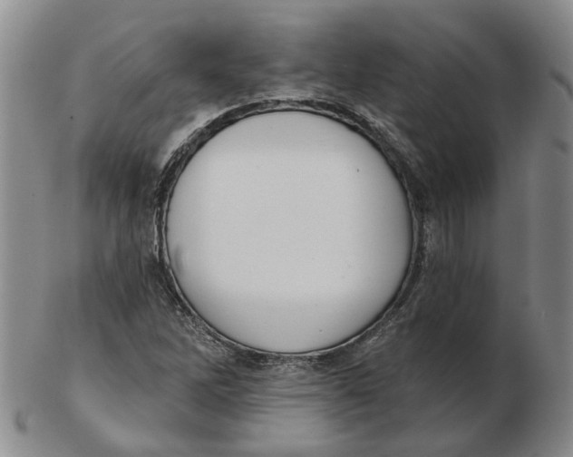 X0000102771262200809080956