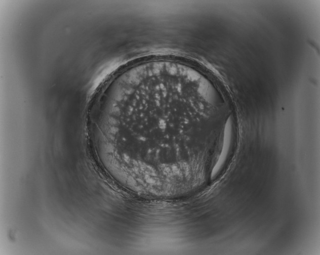 X0000102771263200809080956