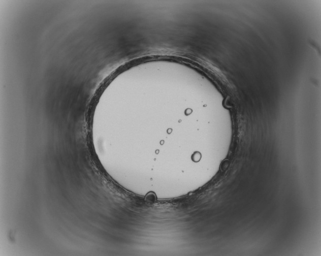 X0000102771264200809080956