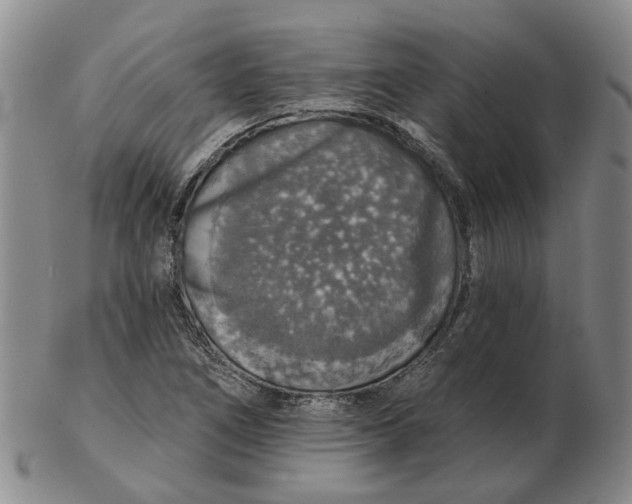 X0000102771266200809080956