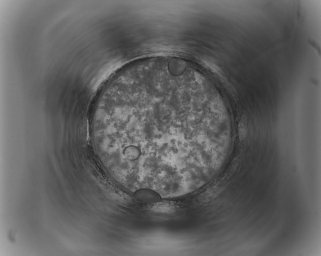 X0000102771267200809080956