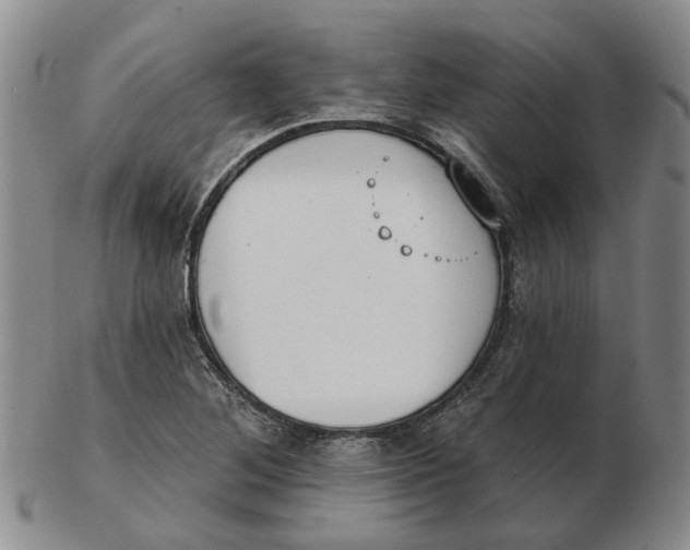 X0000102771268200809080956