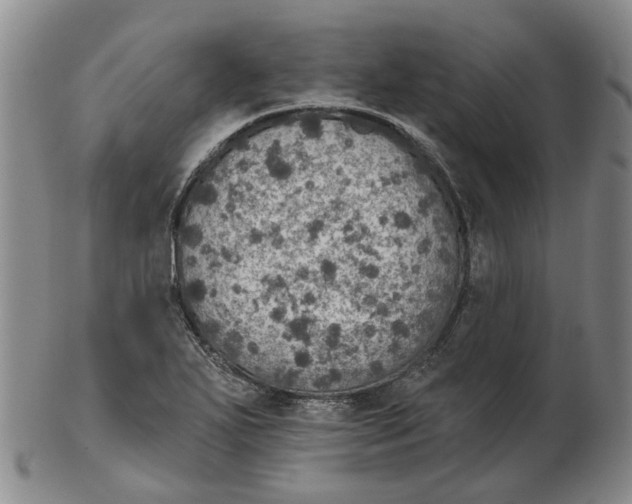 X0000102771271200809080956