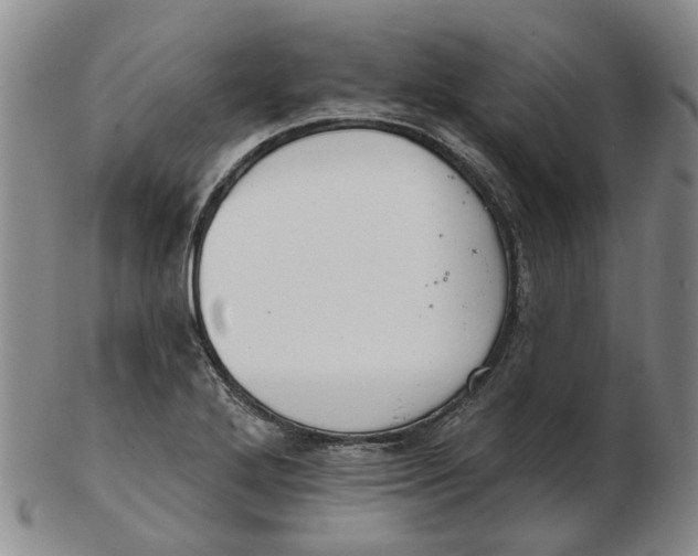 X0000102771272200809080956