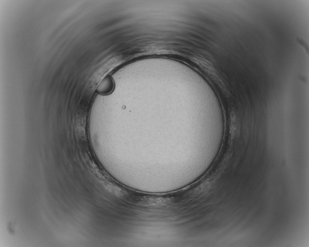 X0000102771273200809080956