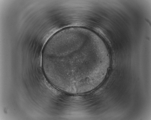 X0000102771276200809080956