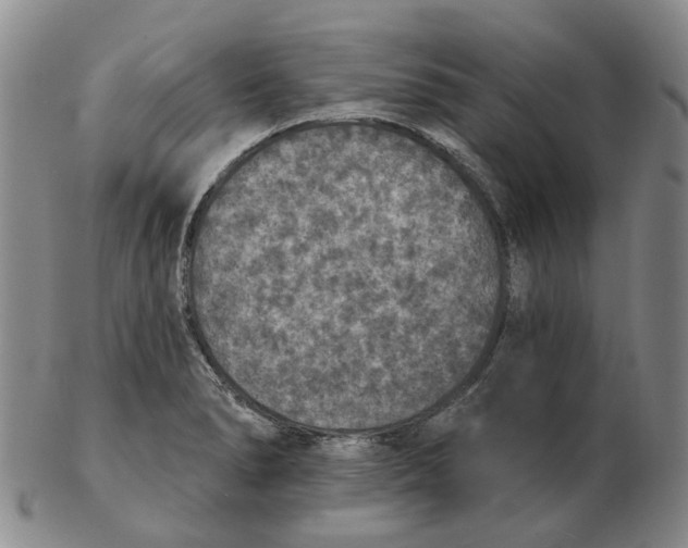 X0000102771278200809080956