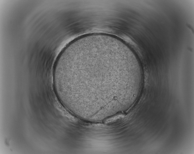 X0000102771280200809080956