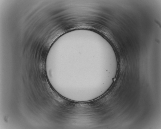 X0000102771281200809080956