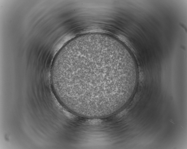 X0000102771282200809080956