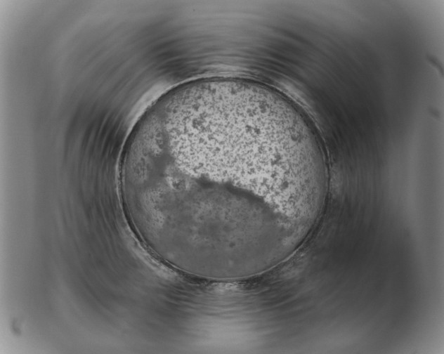 X0000102771283200809080956