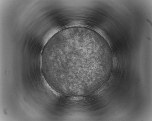 X0000102771290200809080956