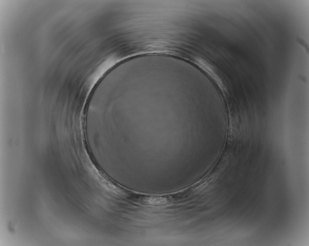 X0000102771291200809080956