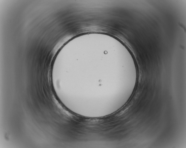 X0000102771293200809080955