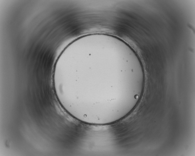 X0000102771296200809080955