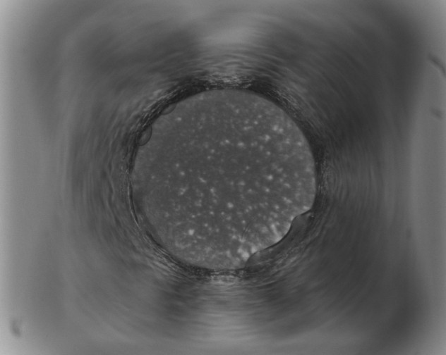 X0000102771297200809080955