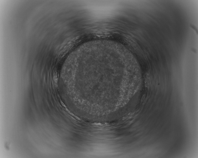 X0000102771298200809080955