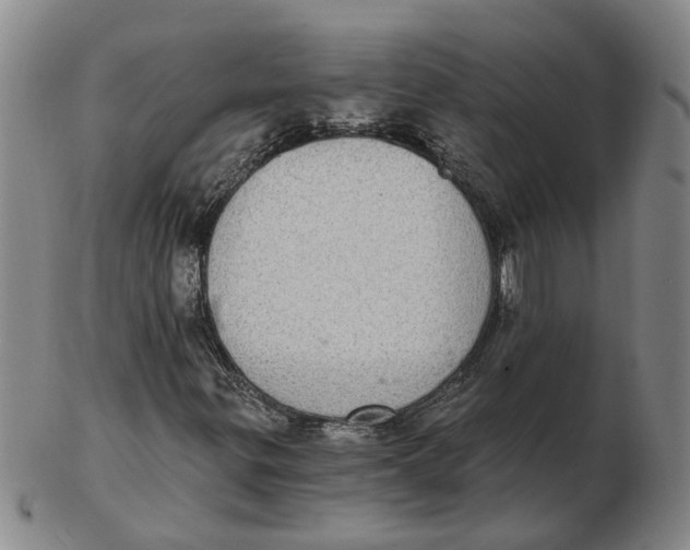 X0000102771299200809080955