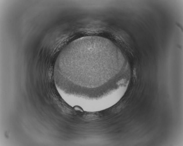 X0000102771300200809080955