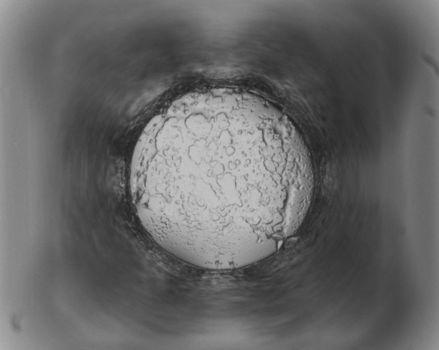 X0000102771301200809080955