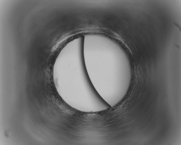 X0000102771304200809080955