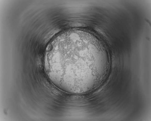 X0000102771305200809080955