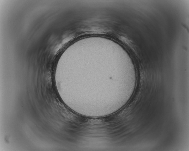 X0000102771307200809080955