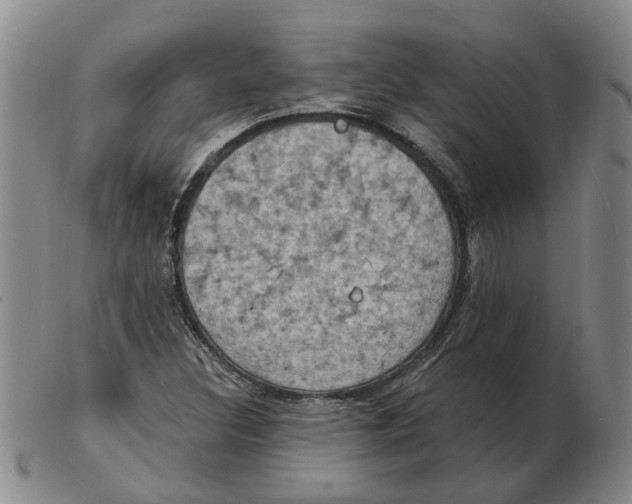 X0000102771308200809080955