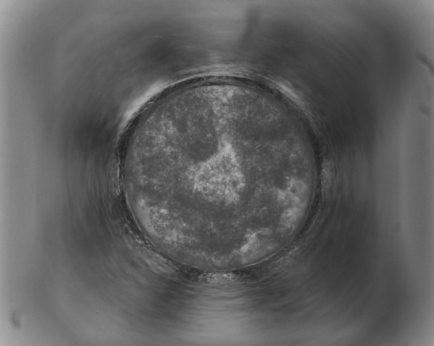 X0000102771310200809080955