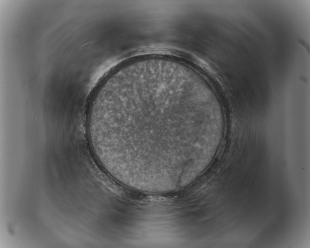 X0000102771312200809080955