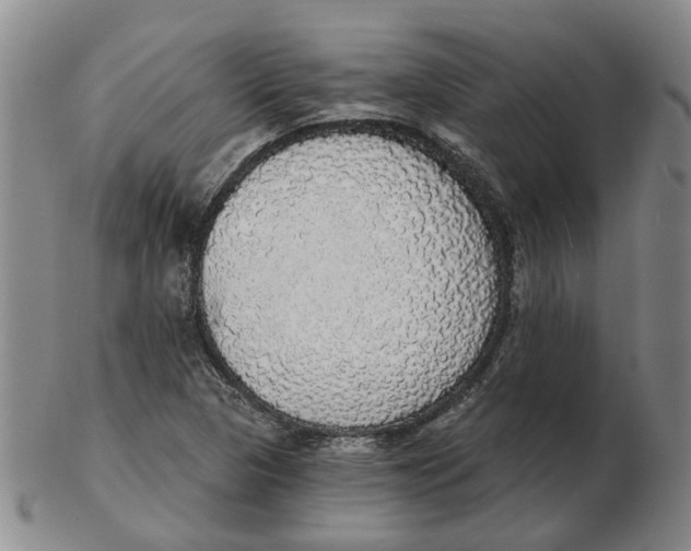 X0000102771313200809080955