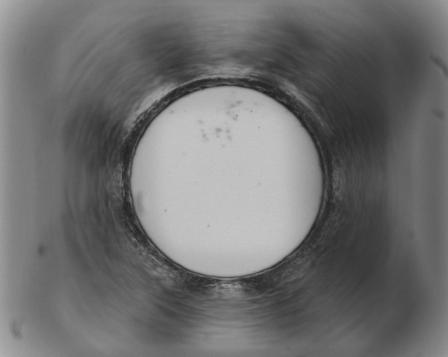 X0000102771315200809080955