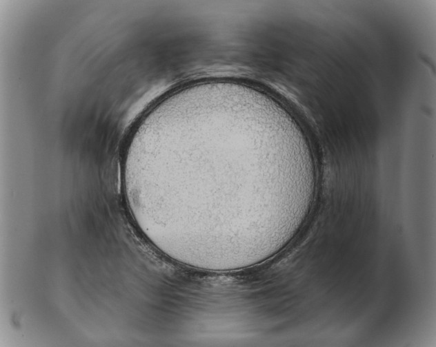 X0000102771317200809080955