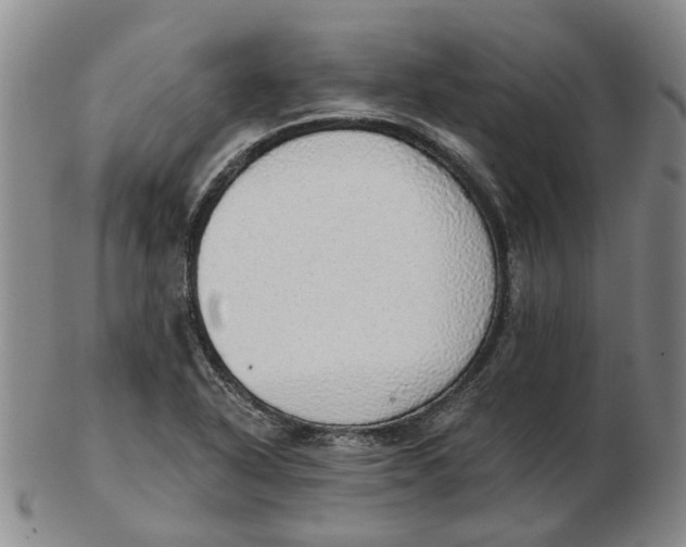 X0000102771318200809080955