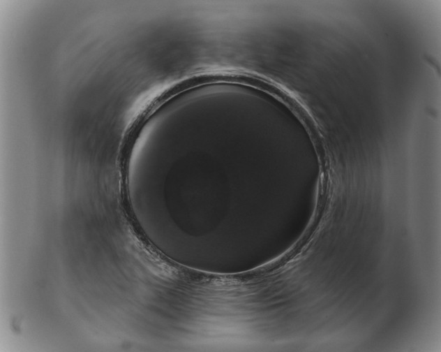 X0000102771319200809080955