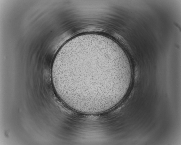 X0000102771321200809080955