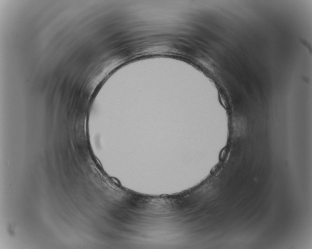 X0000102771322200809080955