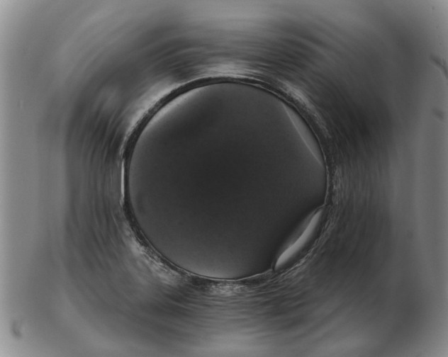 X0000102771323200809080955