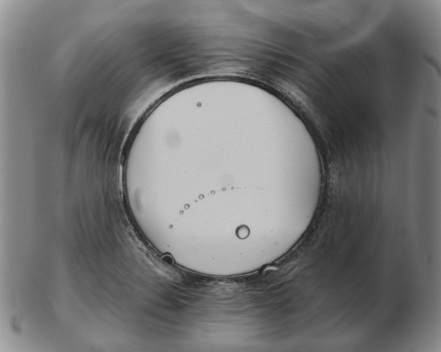 X0000102771324200809080955