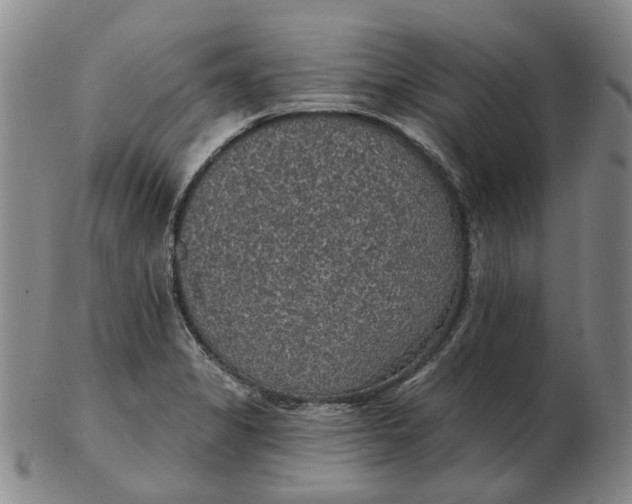 X0000102771325200809080955