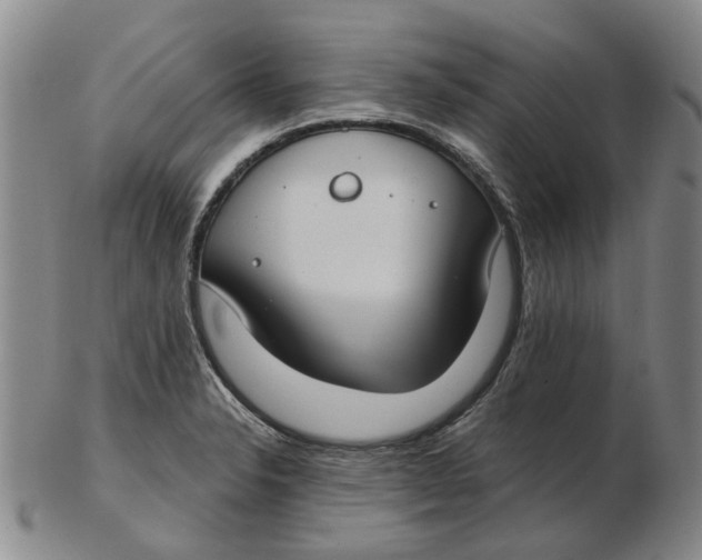 X0000102771326200809080955