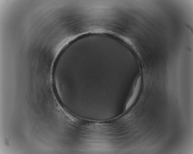 X0000102771327200809080955