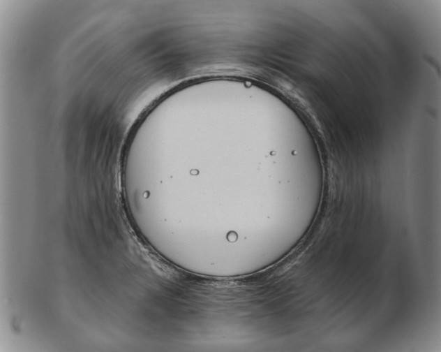 X0000102771328200809080955