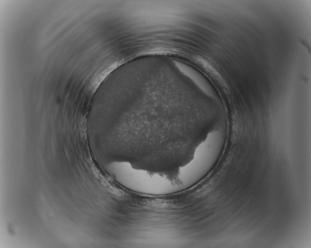 X0000102771329200809080955