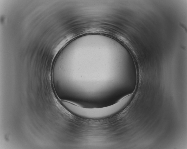 X0000102771330200809080955