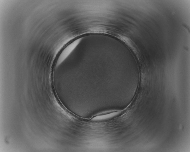 X0000102771331200809080955