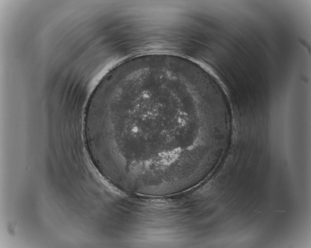 X0000102771333200809080955